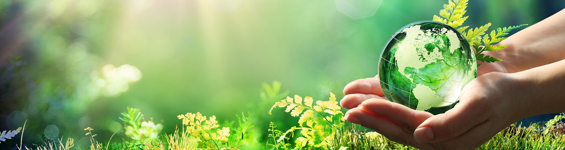 Earth Month – 2021