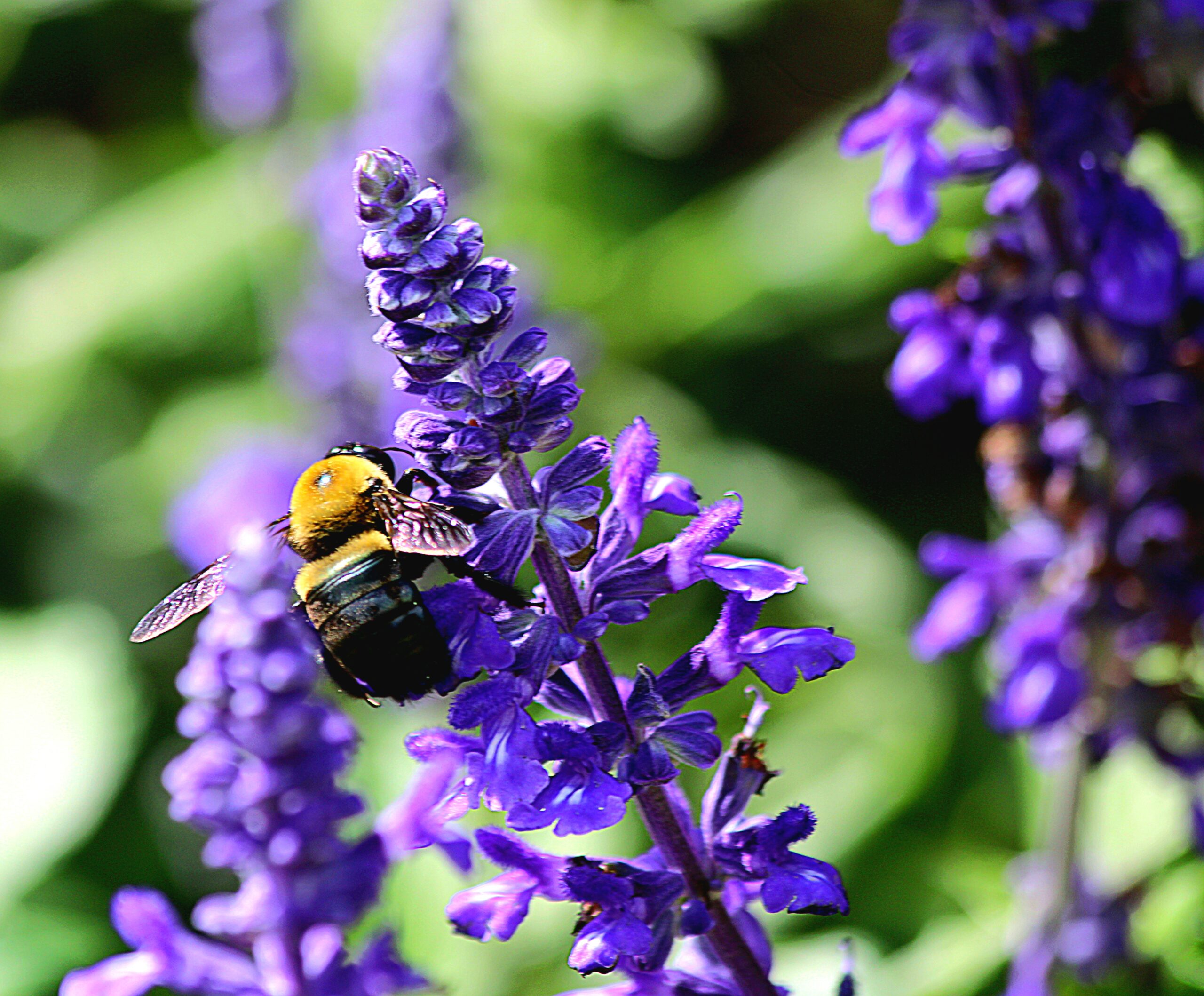 Breathe Easy This Allergy Season: The Importance of Clean HVAC Air Filters